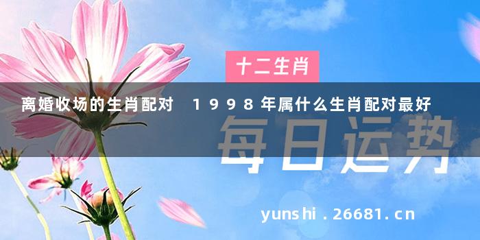 离婚收场的生肖配对 1998年属什么生肖配对最好